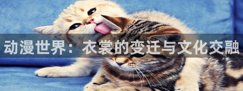 触手里番动漫