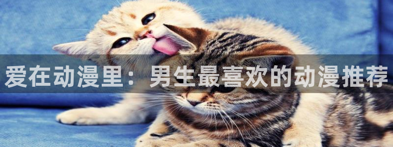 里番成人动漫