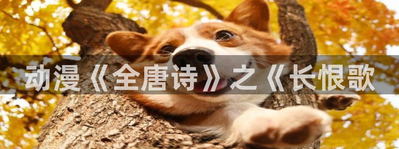 l里番动漫