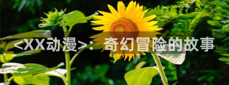 韩国里番动漫