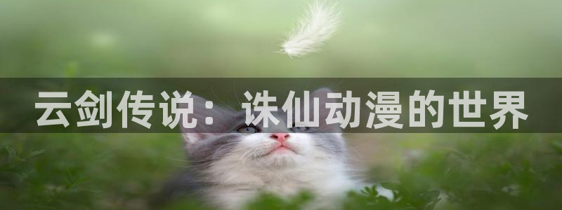 黑兽里番动漫