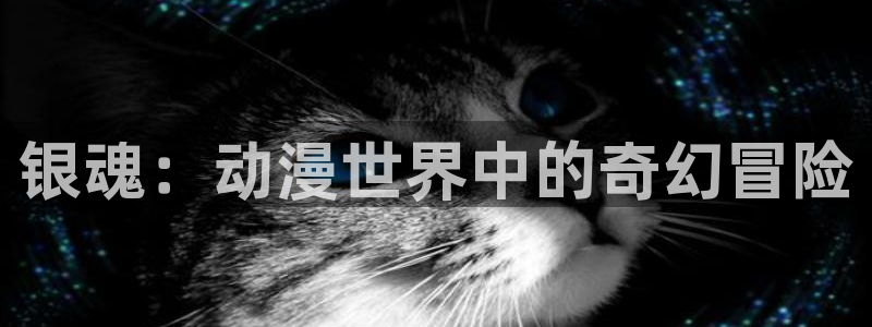 里番漫画h：银魂：动漫世界中的奇幻冒险