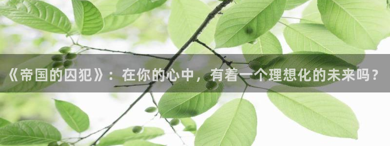 2025年里番动漫