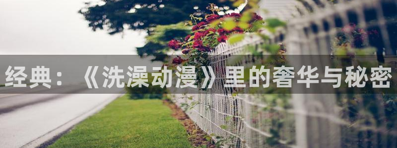 原神里番动漫