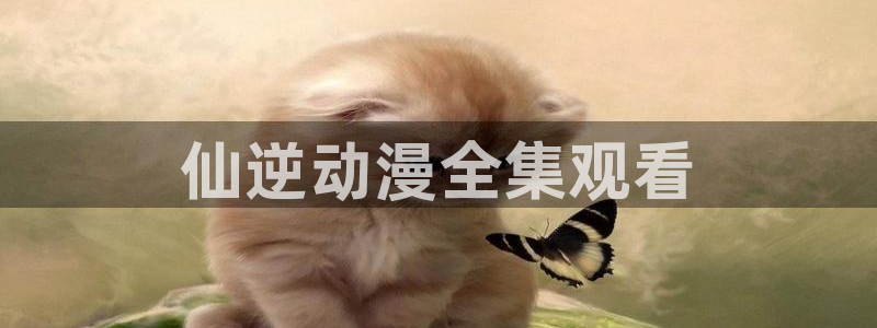 里番动漫黑兽