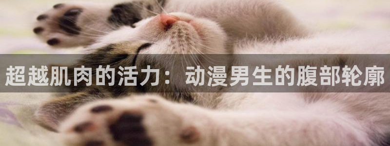 继母里番动漫