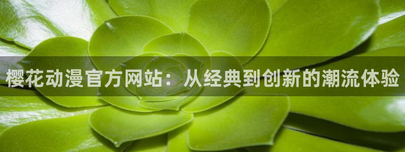 里番动漫在哪个软件