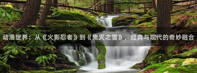 里番动漫在哪个软件