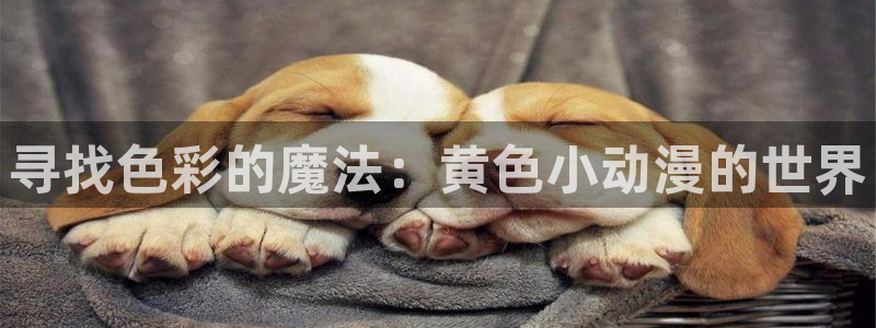 acg里番动漫网