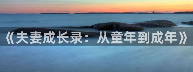 里番动漫18+：《夫妻成长录：从童年到成年》