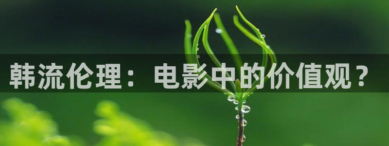 里番动漫免费看：韩流伦理：电影中的价值观？