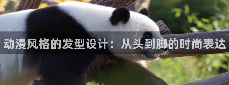 爱动漫网里番