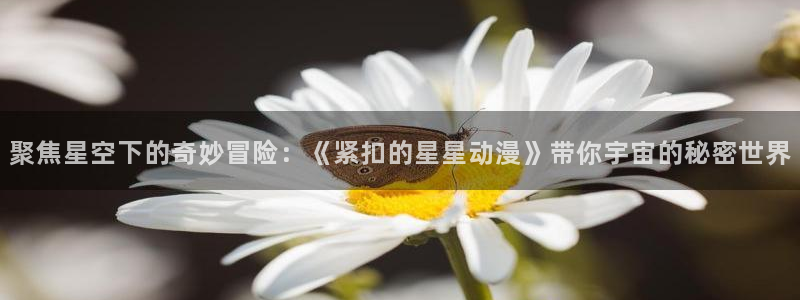 acg里番动漫