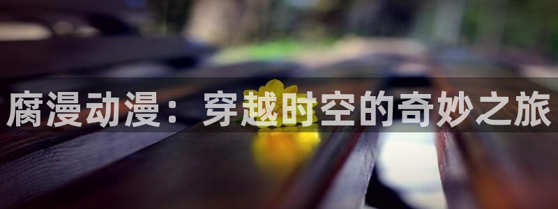 旧里番 动漫