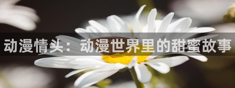 里番动漫免费下载：动漫情头：动漫世界里的甜蜜故事