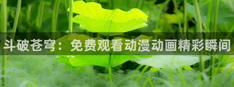 漫里番：斗破苍穹：免费观看动漫动画精彩瞬间